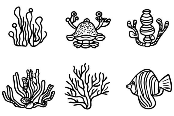 A Set of Sketches of Corals: Enhancing Your Creative Projects