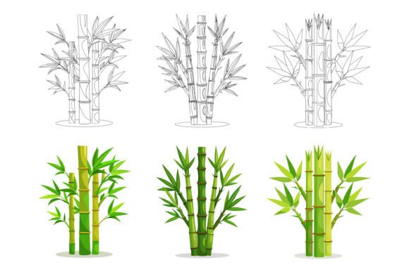 Bamboo Plant Illustrations: A Design Asset Rooted in Nature