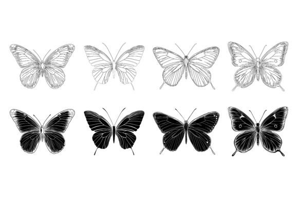 Buttelfly: A Strategic Asset for Modern Creative Work