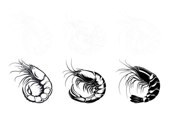 Evaluating the Set of Shrimp Vector Illustration Collection
