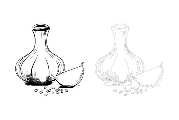 Garlic Vector Outline: The Essential Design Asset You're Probably Missing