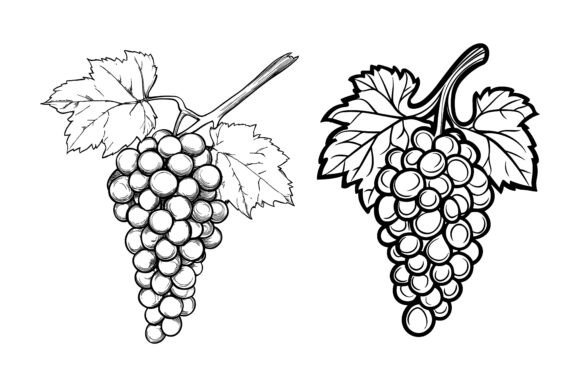 The Art of Digital Illustration: A Bunch of Grapes, Leaves, and Welcome to Our Special Collections