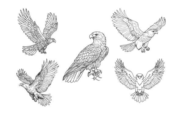 The Flying Eagles Icon Silhouette: Your Go-To Symbol for Impactful Visuals