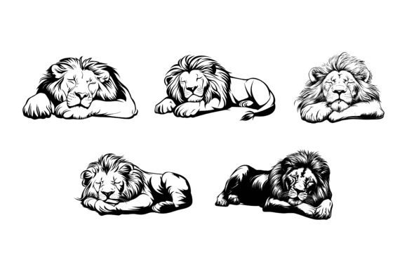 The Majesty of Vector Drawing Sketches Lions