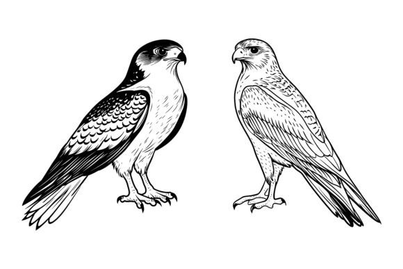 The Power of a Parrot: Why Silhouette Vector Art Elevates Modern Design